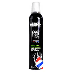 BLITZ METAL CLEANING SPRAY 300 ML - Master